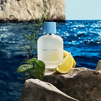 D&G Light Blue Pour Homme
